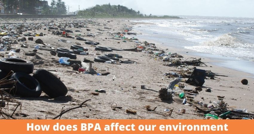 How does BPA affect our environment