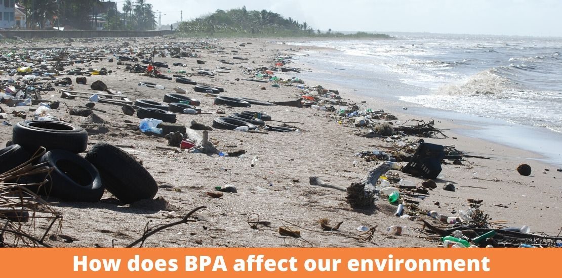 How does BPA affect our environment