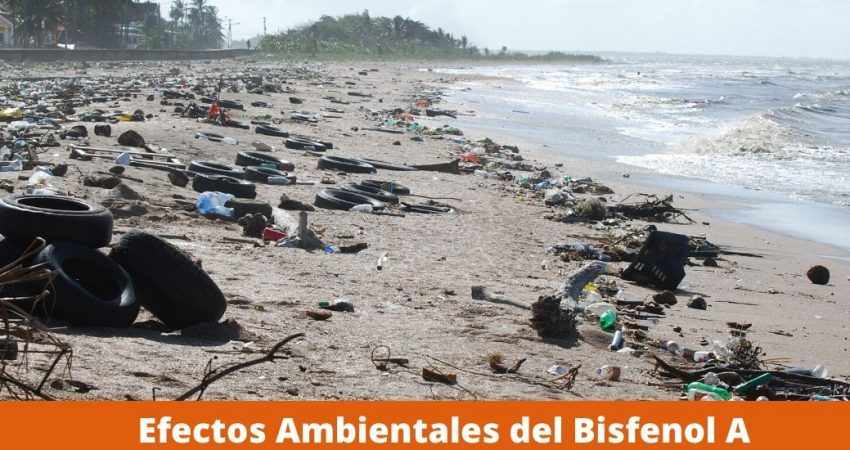 Efectos Ambientales del Bisfenol A