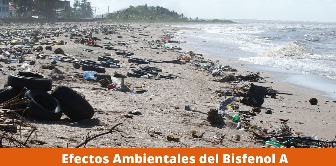 Efectos Ambientales del Bisfenol A